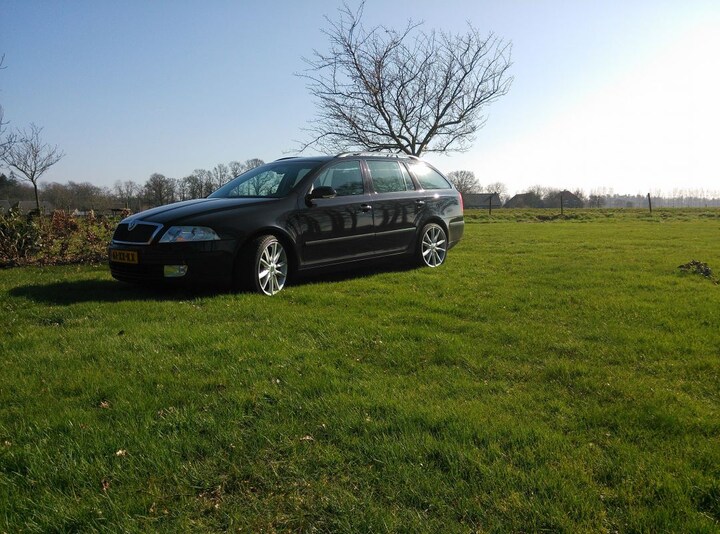Skoda Octavia Combi 1.9 TDI Elegance (2007)