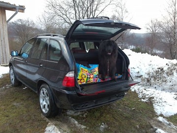 BMW X5 4.4i Executive (2001)