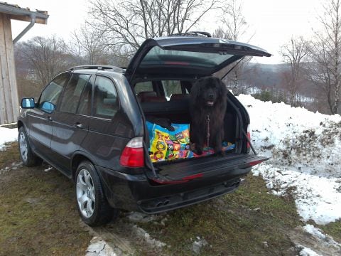 BMW X5 4.4i Executive (2001)