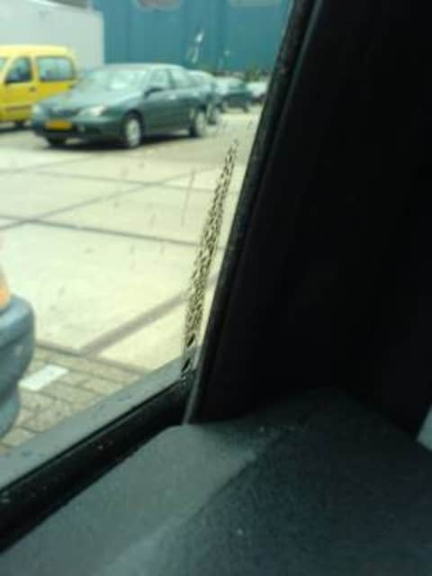 Seat Leon 1.6 Sport-up (2006)