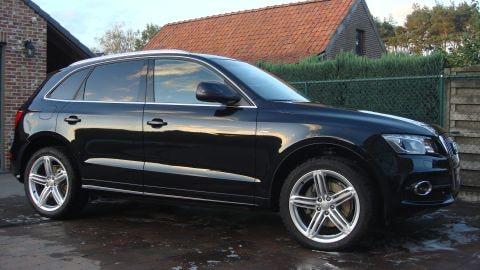 Audi Q5 3.0 TDI quattro Pro Line S (2011)