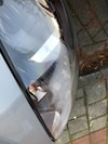 Ford Kuga 2.5 PHEV ST-Line X (2020)