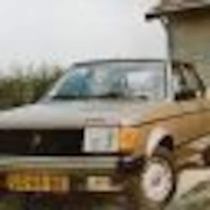 leeuw406