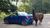 Opel Tigra TwinTop 1.8 Cosmo (2005)