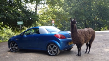 Opel Tigra TwinTop 1.8 Cosmo (2005)