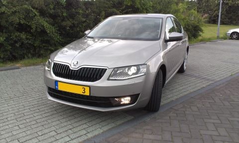 Skoda Octavia 2.0 TDI Greentech Elegance Businessline (2013)