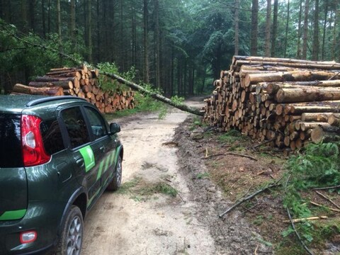 Fiat Panda TwinAir Turbo 85 4x4 Climbing (2015)