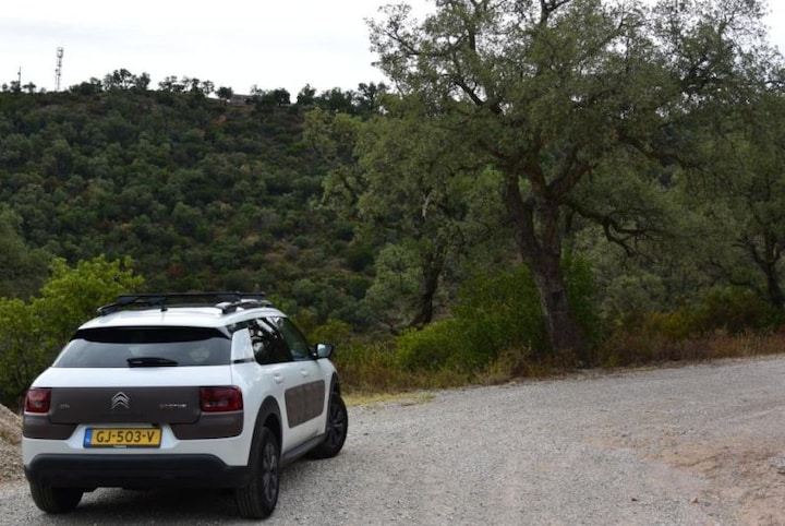 Citroën C4 Cactus BlueHDi 100 Business Plus (2015)