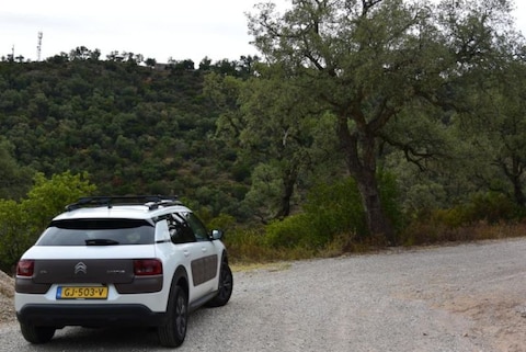 Citroën C4 Cactus BlueHDi 100 Business Plus (2015)