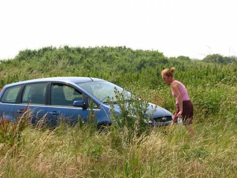 Ford Focus C-MAX 1.6 TDCi 109pk Trend (2005)