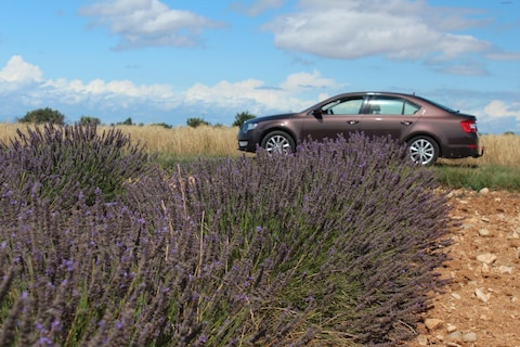 Skoda Octavia 1.6 TDI 105pk Greentech Ambition Businessline