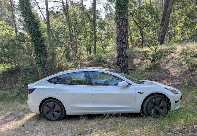 Tesla Model 3 Standard Range Plus (2019)