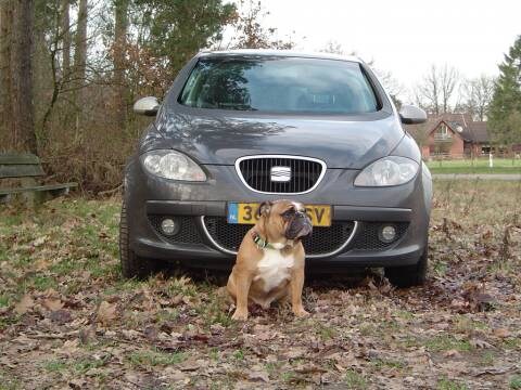 Seat Altea 2.0 TDi Sport-up (2005)