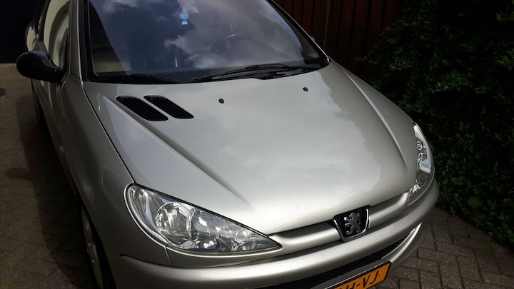 Peugeot 206 Griffe 1.6-16V (2005)