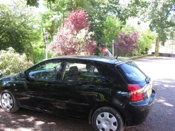 Toyota Corolla 2.0 D4-D 90 Linea Terra Comfort (2004)