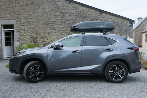 Lexus NX 300h AWD Business Line Pro (2017)