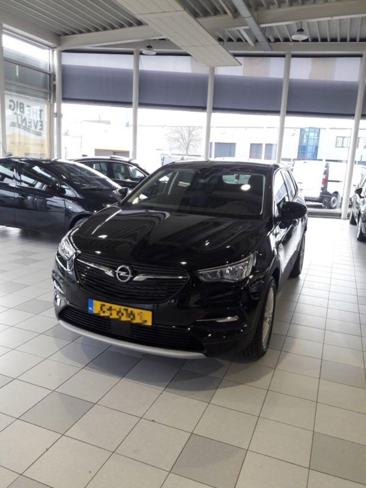 Opel Grandland X 1.2 Turbo 130pk Business Executive (2019)