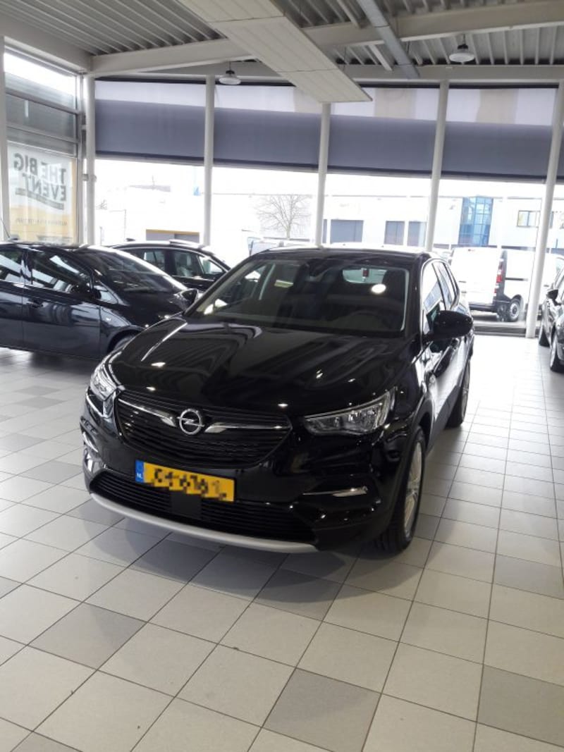 Opel Grandland X 1.2 Turbo 130pk Business Executive (2019)