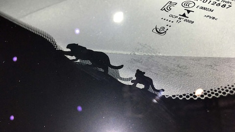 Jaguar E-Pace D150