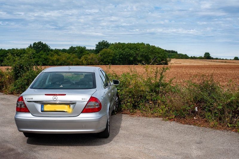Mercedes-Benz E 220 CDI Classic (2006)