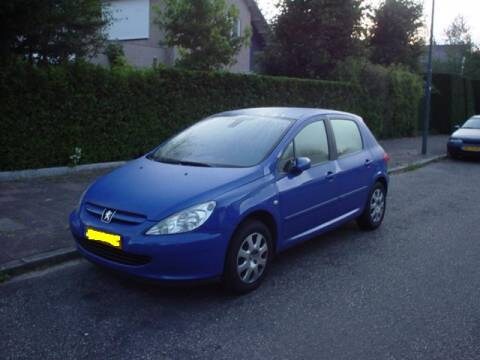 Peugeot 307 XS Premium 1.6 16V (2005)