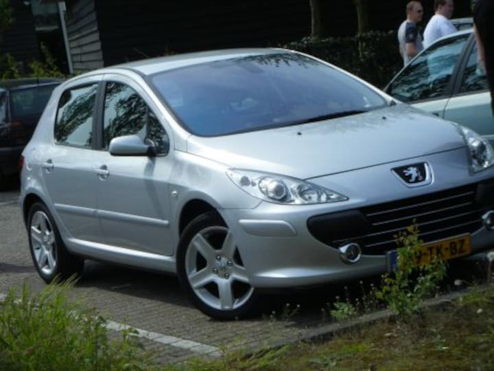 Peugeot 307 Griffe 1.6-16V