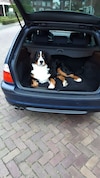 BMW 330xi touring Executive (2003)