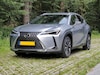 Lexus UX 300h Business Line (2025)