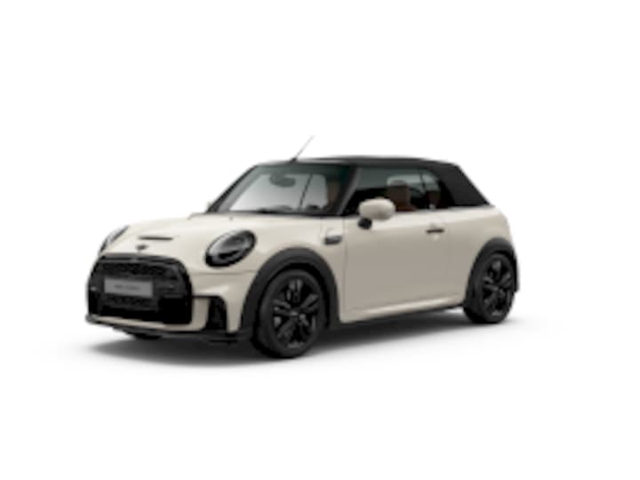Mini Aficionado
