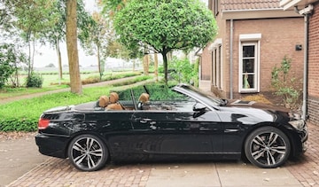BMW 320i Cabrio High Executive (2008)