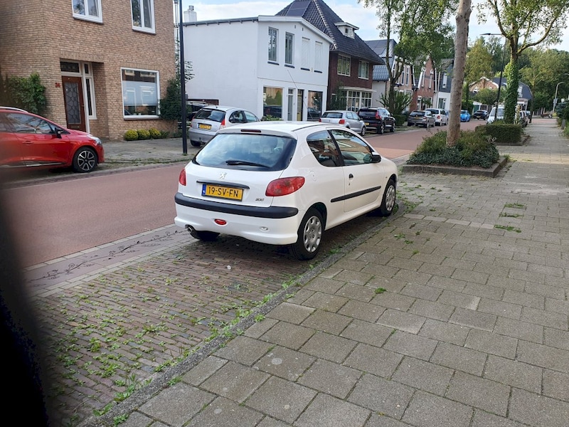 Peugeot 206 One-line 1.4 (2006)