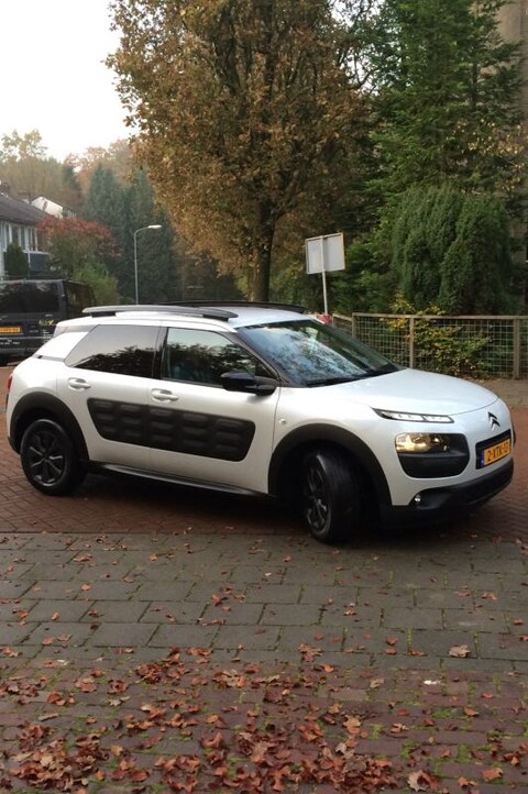Citroën C4 Cactus BlueHDi 100 Business (2014)