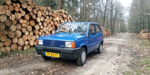 Fiat Panda 750 L