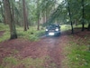 Toyota RAV4 2.5 Hybrid AWD Black Edition (2022)