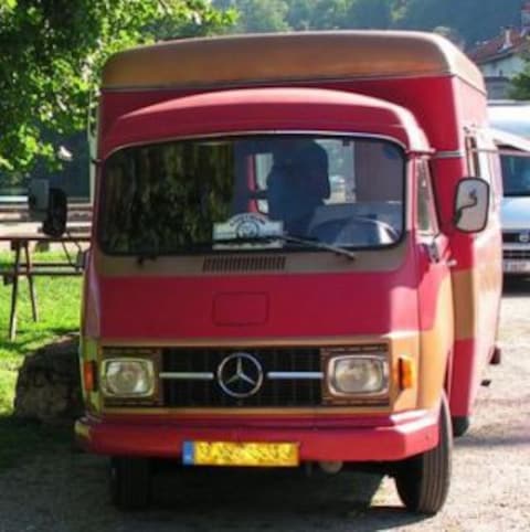 Mercedes-Benz  (1976)