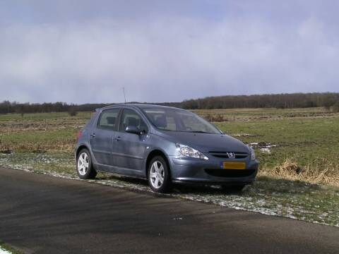 Peugeot 307 XSI 1.6 16V (2005)