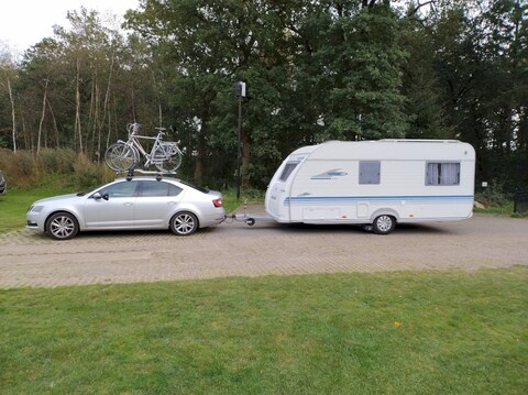 Skoda Octavia 1.0 TSI 115pk Greentech Ambition Business