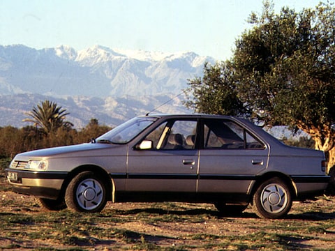 Peugeot 405 GL 1.6i (1990)