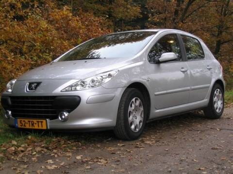 Peugeot 307 XS 1.6-16V (2007)