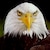 The Eagle