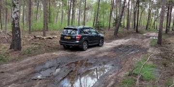 Subaru Forester 2.0 Executive (2013)