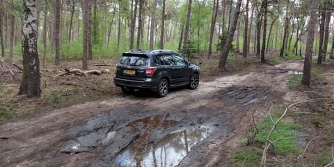 Subaru Forester 2.0 Executive