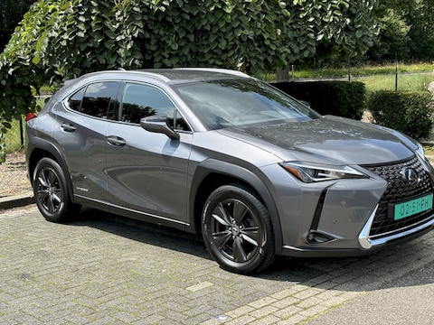 Lexus UX 250h Business Line (2020)