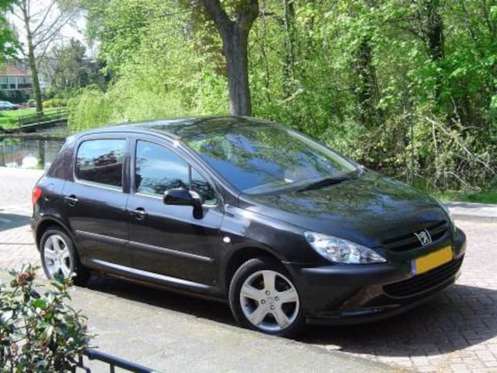Peugeot 307 XS 2.0 HDI 110pk (2003)