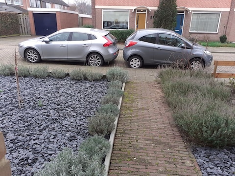 Volvo V40 T3 Momentum