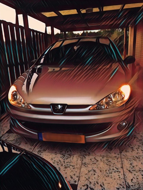 Peugeot 206 Roland Garros 1.6-16V