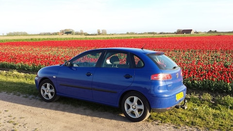 Seat Ibiza 1.4 16V 75pk Stella (2004)