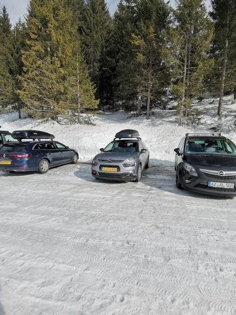 Citroen C4 Cactus PureTech 110 Business