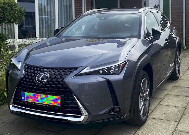 Lexus UX 300e Electric Executive (2020)