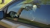 Fiat Bravo 1.4 16v Dynamic (2007)